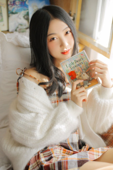 屋顶的大象